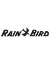 Rainbird